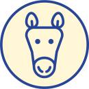 Siirry ryhmään HEVONEN kuivaherkut