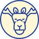 Siirry ryhmään HIRVI kuivaherkut