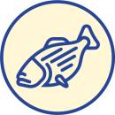 Siirry ryhmään KALA kuivaherkut