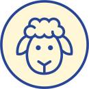 Siirry ryhmään LAMMAS raakaruoat