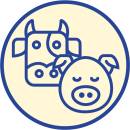 Siirry ryhmään SIKA-NAUTA raakaruoat