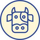 NAUTA aidot kypsät luut Siirry ryhmään NAUTA aidot kypsät luut