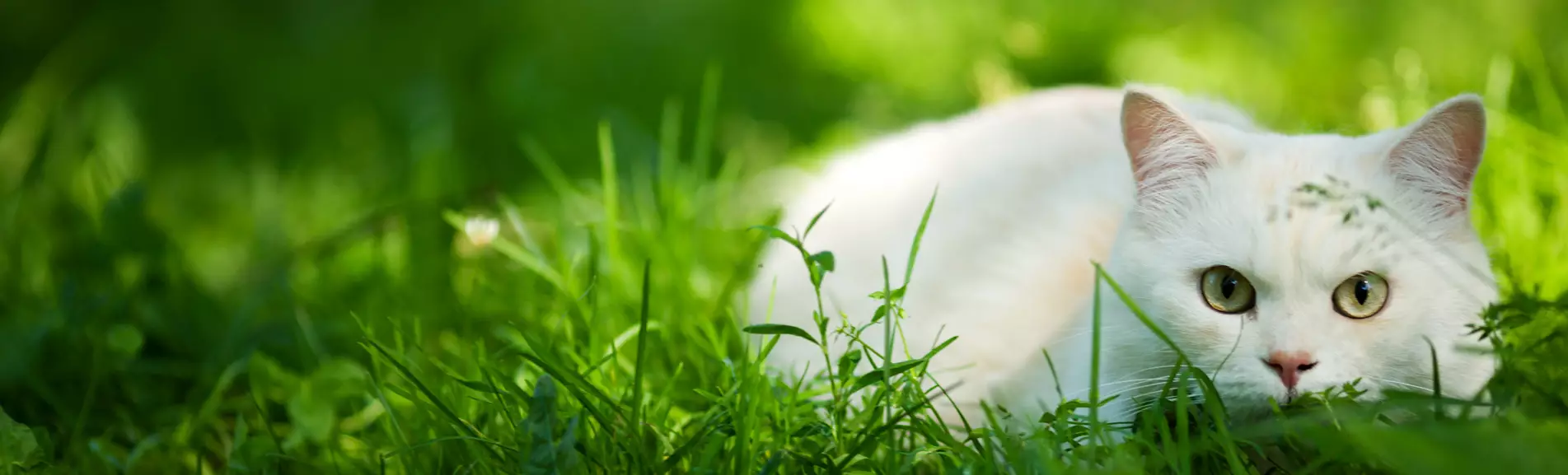 Suomessa valmistettu 12